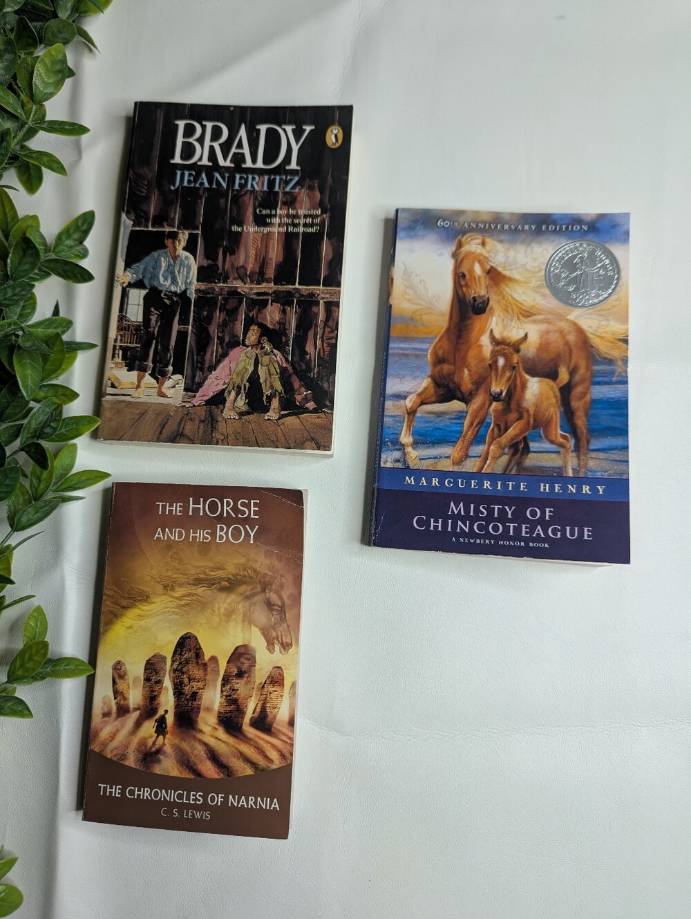 BJU homeschool Reading Books Grade 5